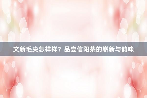 文新毛尖怎样样？品尝信阳茶的崭新与韵味