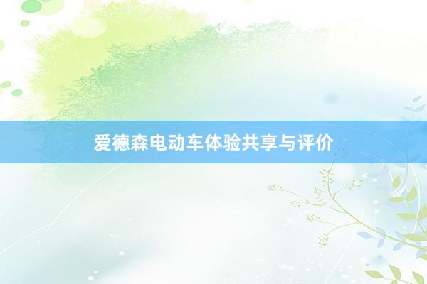 爱德森电动车体验共享与评价